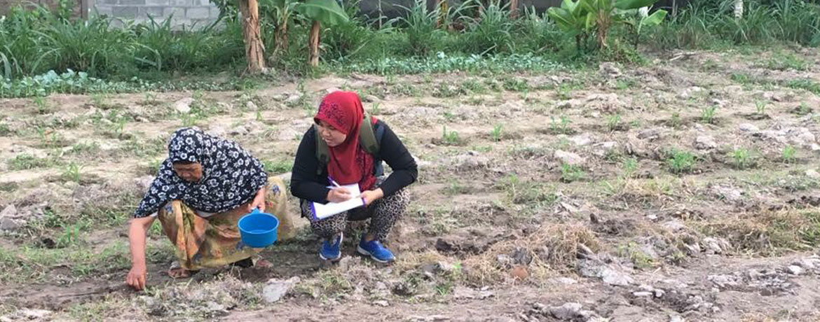 โครงการส่งเสริมและสนับสนุนการผลิตและบริโภคผักปลอดภัยในครัวเรือน ชุมชนบ้านไร่ ตำบลเกตรี อำเภอเมือง จังหวัดสตูล