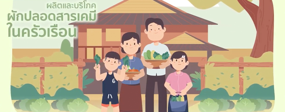 โครงการผลิตและบริโภคผักปลอดสารเคมีในครัวเรือน
