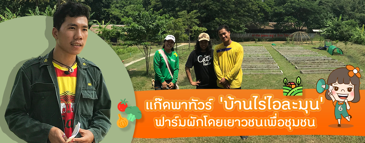 ‘บ้านไร่ไอละมุน’ ฟาร์มผักโดยเยาวชนเพื่อชุมชน