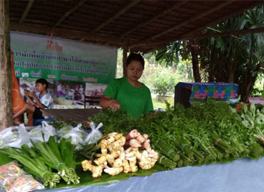 “ผักผลไม้พื้นบ้าน” เครื่องมือสร้าง ‘สุขภาวะ’ ของชุมชนรมณีย์