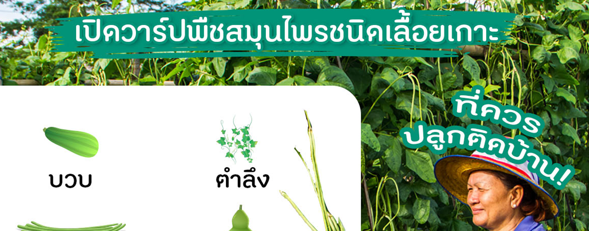 สวัสดีปีใหม่ ต้อนรับปีเถาะ 2566
