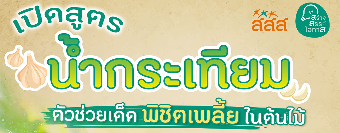 น้ำกระเทียมตัวช่วยกำจัดเพลี้ยต้นไม้