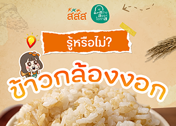 รู้หรือไม่?  ข้าวกล้องงอก มีประโยชน์ต่อบางคน แต่มีอันตรายกับ…