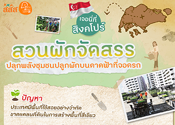 เจอนี่ที่สิงคโปร์ สวนผักจัดสรร