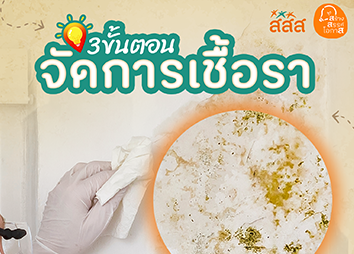 วิธีการกำจัดเชื้อรา
