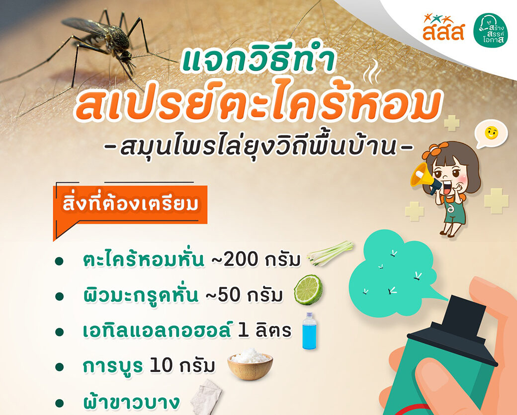 🚨 หน้าฝน ยุงเยอะ #เสี่ยงไข้เลือดออก 💡 มาดู How To การทำ ‘สเปรย์ตะไคร้หอม’ จากธรรมชาติกัน 🍃