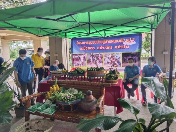 โครงการชุมน่าอยู่: บ้านหนองบัว ม.7 จ.ลำปาง